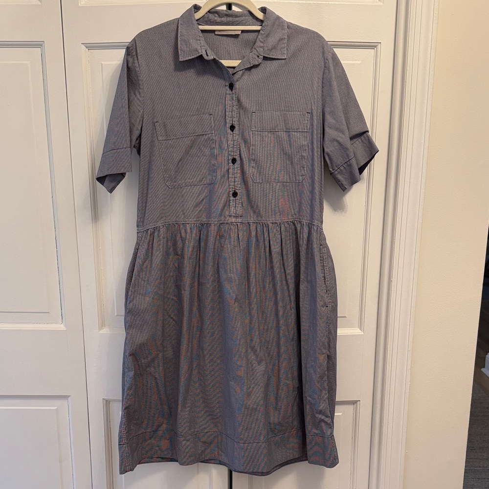 Everlane Blue Pinstripe Midi Shirt Dress